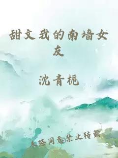 甜文我的南墻女友