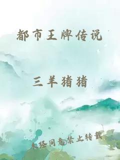 都市王牌傳說
