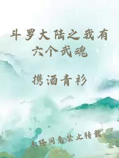 斗羅大陸之我有六個武魂