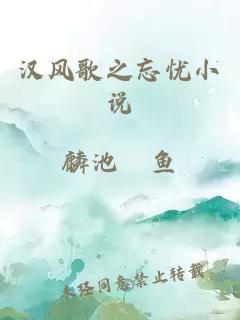 漢風(fēng)歌之忘憂小說