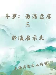斗羅：雨浩盤唐三