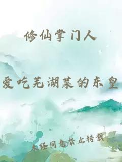 修仙掌門人