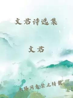 文君詩(shī)選集