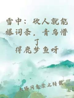 雪中：砍人就能爆詞條，青鳥(niǎo)懵了