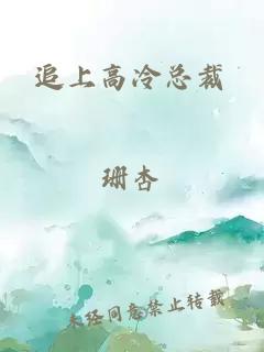 追上高冷總裁