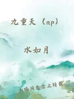 九重天（np）