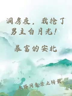 洞房夜，我搶了男主白月光！