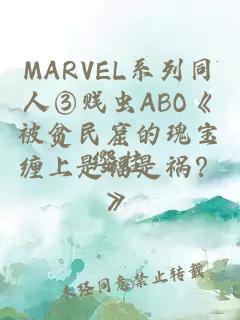 MARVEL系列同人③賤蟲(chóng)ABO《被貧民窟的瑰寶纏上是福是禍？》