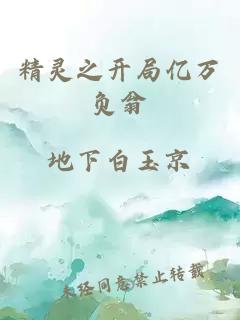 精靈之開局億萬負(fù)翁