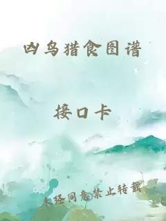 兇鳥(niǎo)獵食圖譜