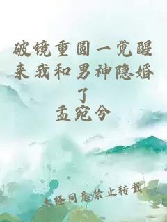 破鏡重圓一覺(jué)醒來(lái)我和男神隱婚了