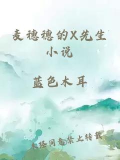 麥穗穗的X先生小說