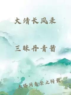 大靖長風(fēng)錄