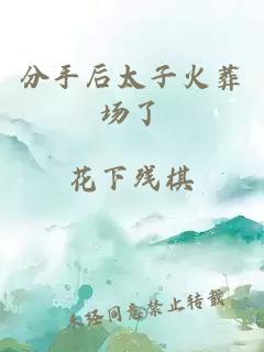 分手后太子火葬場了