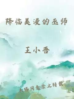 降臨美漫的巫師