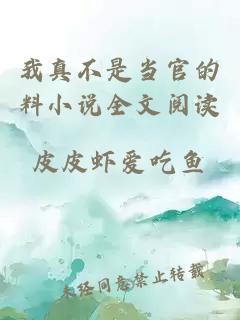 我真不是當官的料小說全文閱讀