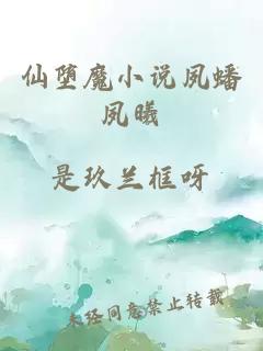 仙墮魔小說夙蟠夙曦