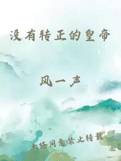 沒有轉(zhuǎn)正的皇帝