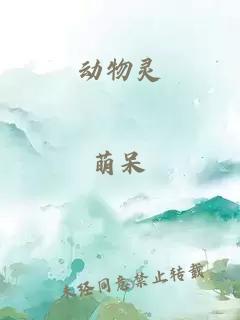 動(dòng)物靈