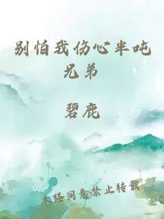 別怕我傷心半噸兄弟