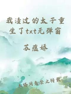 我渣過(guò)的太子重生了txt無(wú)彈窗