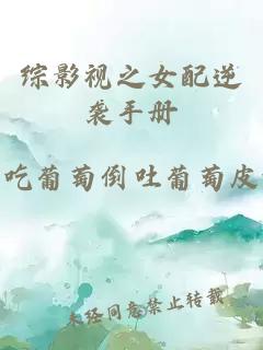 綜影視之女配逆襲手冊(cè)