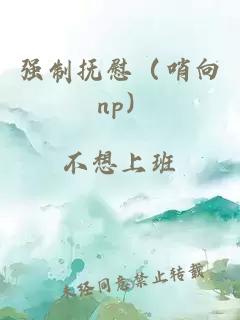 強(qiáng)制撫慰（哨向 np）
