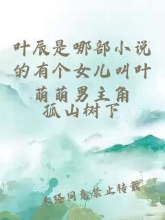 葉辰是哪部小說的有個女兒叫葉萌萌男主角