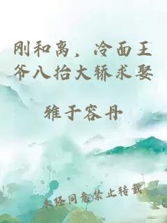 剛和離，冷面王爺八抬大轎求娶