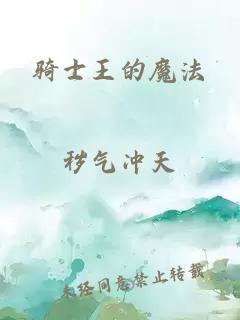 騎士王的魔法
