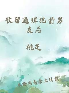收留通緝犯前男友后