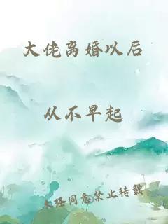 大佬離婚以后