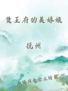 賢王府的美嬌娘
