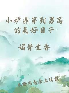 小爐鼎穿到男高的美好日子