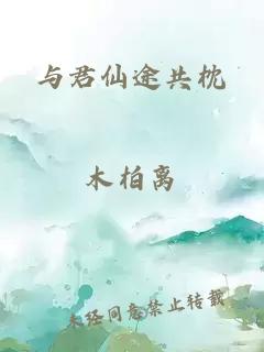 與君仙途共枕