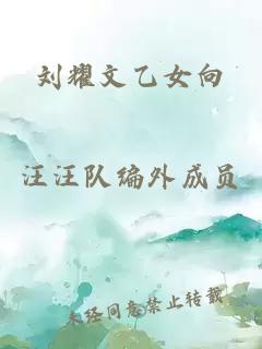 劉耀文乙女向
