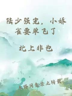 陸少強(qiáng)寵，小嬌雀要單飛了