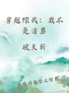穿越綜武：我不是渣男