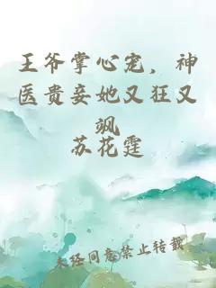 王爺掌心寵，神醫(yī)貴妾她又狂又颯
